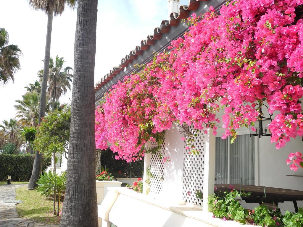 Dominion Apartments Estepona Eksteriør bilde