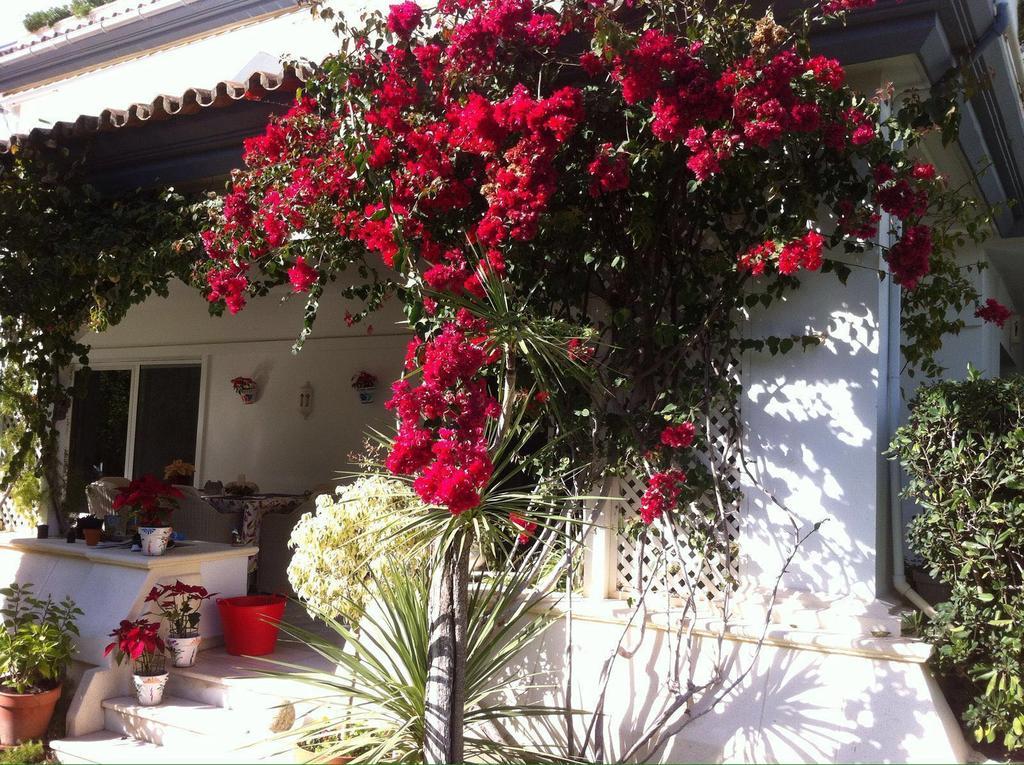 Dominion Apartments Estepona Eksteriør bilde